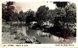 CARTE PHOTO SETUBAL RIBEIRA DE AJUDA    PORTUGAL - Setúbal