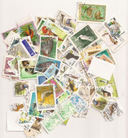 (ANG473) BIRDS, PAJAROS - 100 Different - Autruches