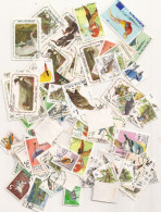 (ANG475) BIRDS, PAJAROS - 100 Different - Autruches