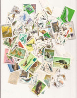 (ANG476) BIRDS, PAJAROS - 100 Different - Autruches