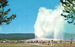 UNITED STATES, WYOMING, YELLOWSTONE, OLD FAITHFUL GEYSER, NATIONAL PARK - Yellowstone