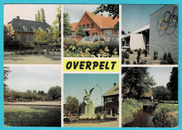 * Overpelt - Pelt (Limburg) * (HarDid 148/2) Groeten Uit Overpelt, Monument, Sporthal, Pelterke - Overpelt