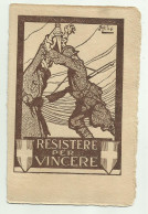 RESISTERE PER VINCERE - REGIO ESERCITO 2a ARMATA ILLUSTRATA ATTILIO - NV FP - Guerre 1914-18