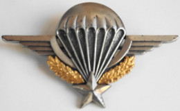 DELSART - Médaille Militaire Brevet De Parachutiste - Marquée 29e Régiment Du Général LECLERC - Sens 89100 - Bon Etat - Armée De L'air