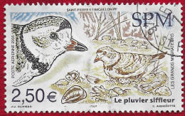 St.Pierre Et Miquelon PA 85  2005 Oiseau  Oblitéré  " Pluvier Siffleur "  Cachet SP - Usati