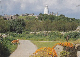 AK 164541 ENGLAND - Iles Of Scilly - St. Agnes - Scilly Isles