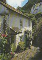 AK 164554 ENGLAND - Clovelly - Rose Cottage - Clovelly