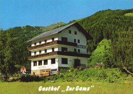 AUSTRIA, STYRIA, DONNERSBACH, HOTEL ZUR GAMS, MOUNTAIN - Donnersbach (Tal)