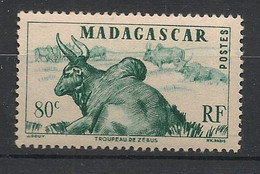 MADAGASCAR - 1946 - N°Yv. 305 - Zébus 80c - Neuf Luxe ** / MNH / Postfrisch - Koeien