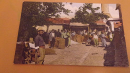 TURQUIE  ANTAKYA / ANTIOCHE  BAZAR DU BLE  EDIT CHOUHA - Türkei