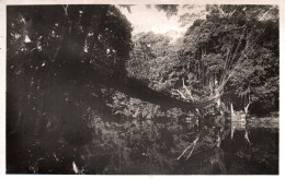 19640  AOF Guinée  Pont De Lianes ( 120 M De Long  ,  ( 2 Scans)  GUINEE - Guinée Française