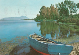 T4036 Sabaudia (Latina) - Lago Di Paola E Monte Circeo - Panorama - Barche Boats Bateaux / Viaggiata 1962 - Altri & Non Classificati