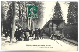 DONNEMARIE EN MONTOIS - La Halte Du Tramway De Nangis à Bray Sur Seine - Donnemarie Dontilly