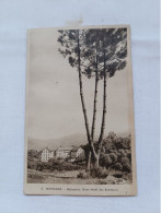 ANTIQUE POSTCARD SPAIN MONDARIZ - BALNEARIO, GRAN HOTEL DEL BALNEARIO CIRCULATED 1952 - Pontevedra