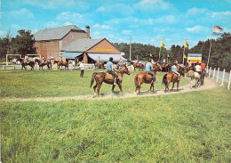 BELGIQUE - Barvaux S/ Ourthe - Miniature Et Le Beaujolais Golf - Carte Postale - Otros & Sin Clasificación