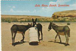 Let's Have Lunch Sometime - Other & Unclassified