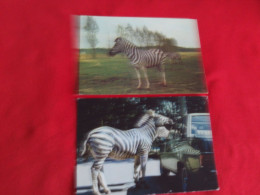 LOT DE 2 CARTES...."ZEBRES EN LIBERTE DANS LA RESERVE DU CHATEAU DE THOIRY EN YVELINES".. - Zebre