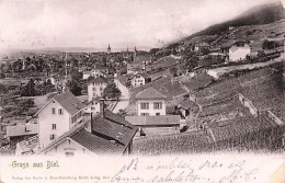 Gruss Aus Biel Bienne 1905 - Bienne