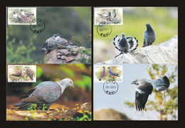 2022-25 China Birds Pigeon Dove LOCAL MC-S - Maximum Cards