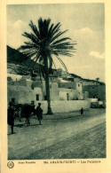 E25 / MAROC AGADIR-FOUNTI LES PALMIERS ANIME NEUVE - Agadir