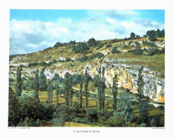 Photo  -  Reproduction -  Les Causses Du Quercy - Europe