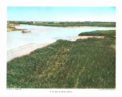 Photo  -  Reproduction -  Au Coeur Du Mairais Poitevin - Europa