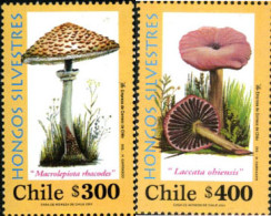 184718 MNH CHILE 2001 SETAS - Chili