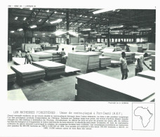 Photo  -  Reproduction - Gabon - Usine De Contre Plaqué à Port Gentil - Afrika