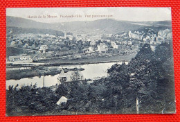 PROFONDEVILLE  -  Vue Panoramique - Bords De La Meuse - Profondeville