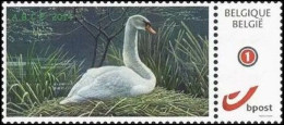 DUOSTAMP** / MYSTAMP** - Cygne Tuberculé / Knobbelzwaan / Höckerschwan / Mute Swan - BUZIN - Swans