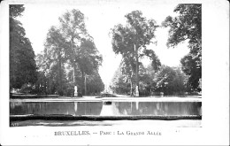 Belgique - Bruxelles - Parc - La Grande Allée - Parks, Gärten