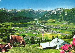 AUSTRIA, TIROL, REUTTE, PANORAMA, MOUNTAIN, COWS - Reutte