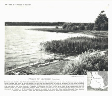 Photo  -  Reproduction -  étang De Lacanau Landes - Europe