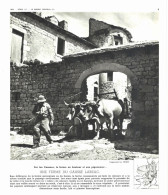 Photo  -  Reproduction - Une Ferme  Du Causse Larzac - Attelage - Pigeonnier - Europe