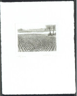 Piotr Naszarkowski. Sweden 1992. Steel Engraving: Winter Fields. LIMITED EDITION!  Signed. - Proofs & Reprints