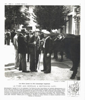 Photo  -  Reproduction - Foire à Bestiaux à Bretenoux - Europa