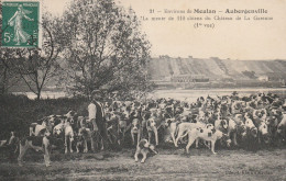 Aubergenville (78 - Yvelines)  Chasse à Courre - La Meute De 110 Chiens Du Château De La Garenne - Aubergenville