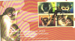 United Nations:FDC, Monkeys, Apes, 2007 - Storia Postale