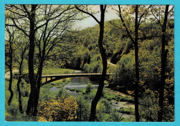 * La Roche En Ardenne (Luxembourg - La Wallonie) * (Nels, Edit Thill, Nr 21) Pont De Rensiwez Sur L'Ourthe, Bridge - La-Roche-en-Ardenne