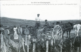 1216 - CHAMPAGNE - Sulfatage Des Vignes En Champagne - Champagne-Ardenne