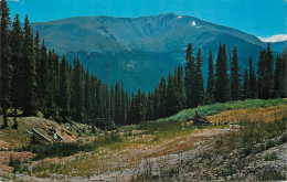 USA Engelmann Peak CO Near Berthoud Pass - Andere & Zonder Classificatie