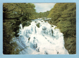 CP Pays De Galles - Gwynedd - Betws-y-Coed, Swallow Falls - Caernarvonshire