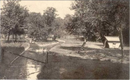 MARIEMONT - Ecoles Provinciales D'Horticulture Et De Petit Elevage - Un Coin Du Centre D'Elevage - Morlanwelz