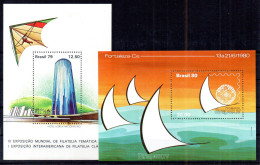 Brasil Hojas Bloque Nº Yvert 39 + 41 ** - Blocs-feuillets