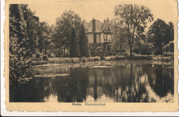 HEIDE  HORTENCIAHOF       2 SCANS - Kalmthout