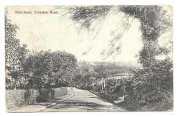 Caterham, Croydon Road - 1904 # 11-20/22 - Surrey