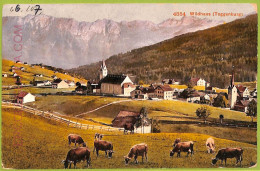 Ad6731 - SWITZERLAND Schweitz - Ansichtskarten VINTAGE POSTCARD - Wildhaus - Wil