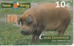 TARJETA DE ESPAÑA DE UN CERDO DOMESTICO (PIG) - Altri & Non Classificati