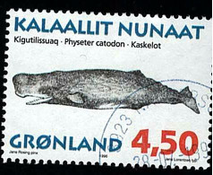 1996 Sperm Whale  Michel GL 290 Stamp Number GL 306 Yvert Et Tellier GL 269 Stanley Gibbons GL 299 Used - Oblitérés