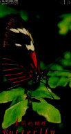 TELECARTE ETRANGERE    JOLI PAPILLON - Butterflies